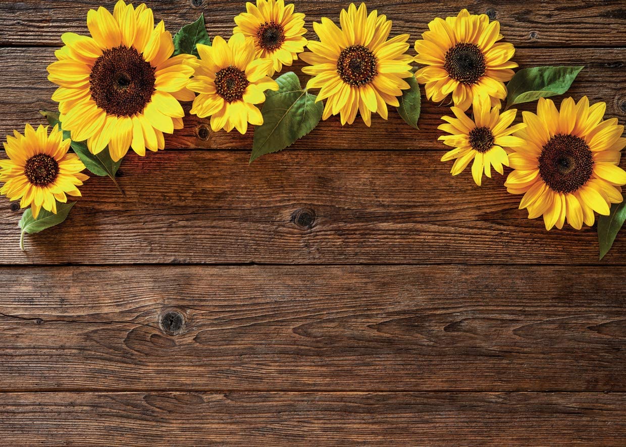 Background hoa hướng dương là sự lựa chọn tuyệt vời để bạn tạo ra không gian sống động và tươi sáng cho máy tính của mình. Hãy để những chiếc hoa này trở thành điểm nhấn cho nền desktop của bạn, mang lại cảm giác sảng khoái và tươi mới cho ngày mới đầy năng lượng.
