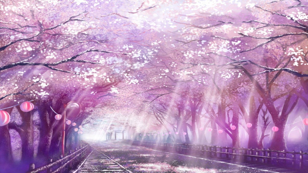 Hình nền anime hoa anh đào tuyệt đẹp - Ảnh Anime đẹp nhất