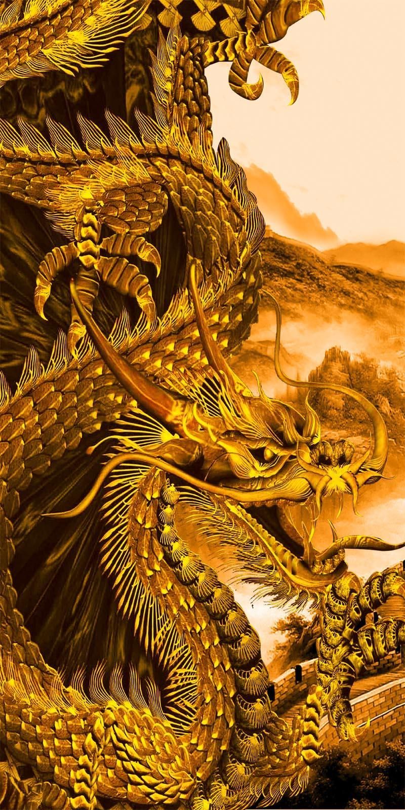 Hình nền rồng vàng 3D tuyệt đẹp Văn Hóa Học