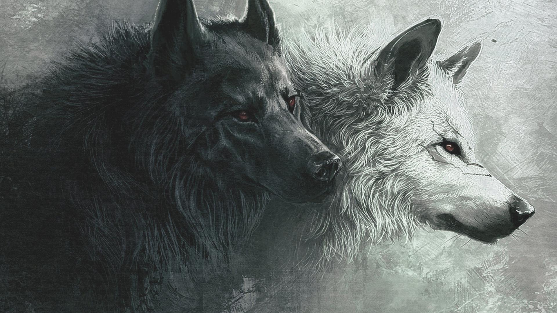 Wolf Gaming Wallpapers  Top Những Hình Ảnh Đẹp