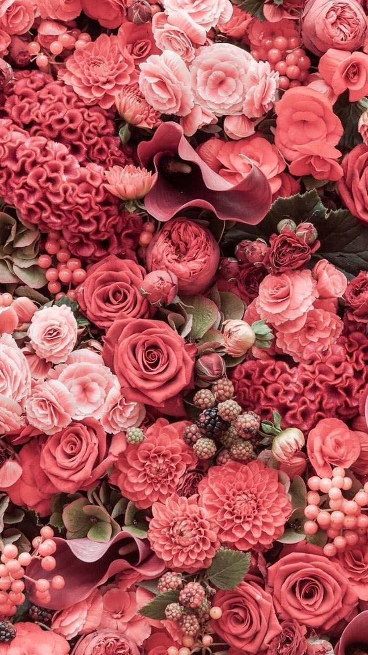 500 hình nền hoa đẹp cho điện thoại đổi mới màn hình với những hình ảnh  tuyệt đẹp