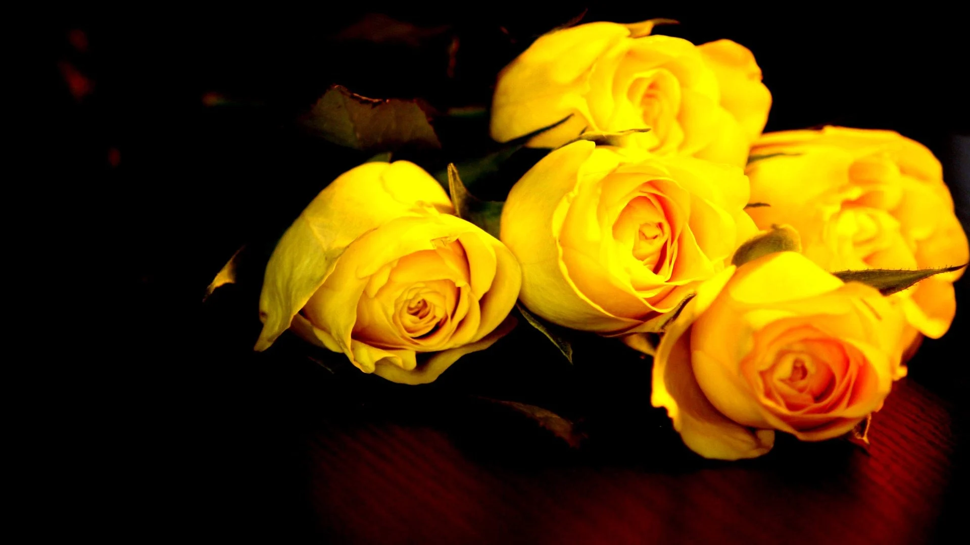 Hình nền : Hoa màu vàng, Gần, Vĩ mô, màu vàng, trái cam, Cánh hoa, bông hồng,  Đào, 1280x853 px, Hình nền máy tính, Đóng lên, Chụp macro, Nhiếp ảnh cuộc  sống