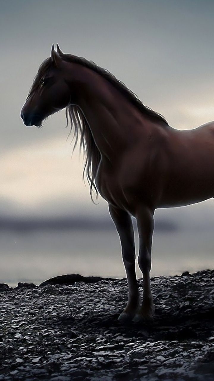 Horse Pictures Live Wallpaper - Ứng dụng trên Google Play