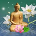 Hình ảnh hoa Sen đẹp trong Phật Giáo 2