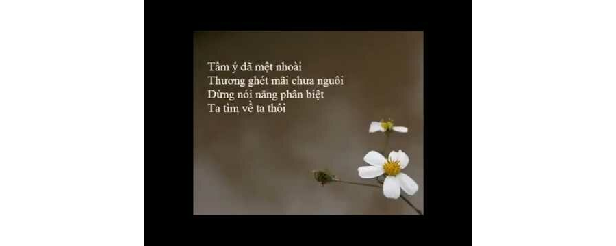 9 Bước Chuyển Hóa – Thích Minh Niệm