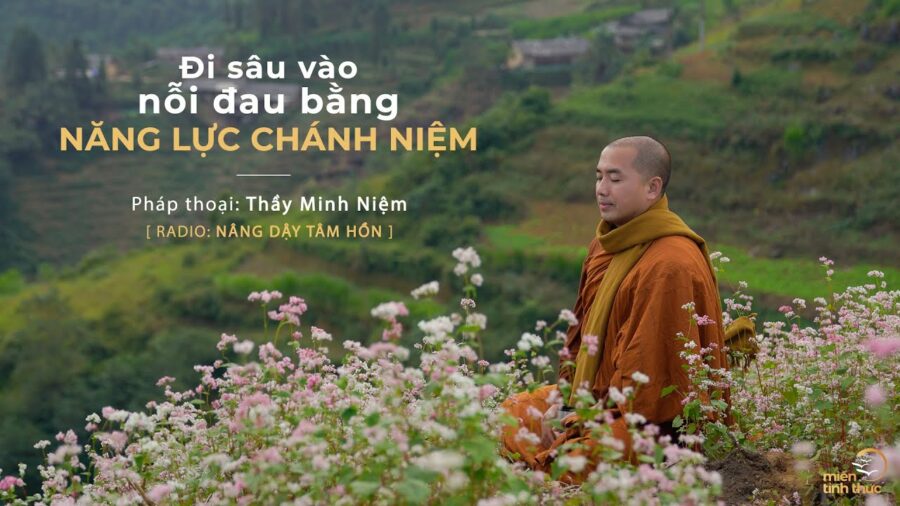 Đi sâu vào nỗi đau bằng năng lực chánh niệm - TS. Thích Minh Niệm