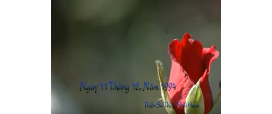 Quán chiếu lãnh thổ của mình - HT. Thích Nhất Hạnh