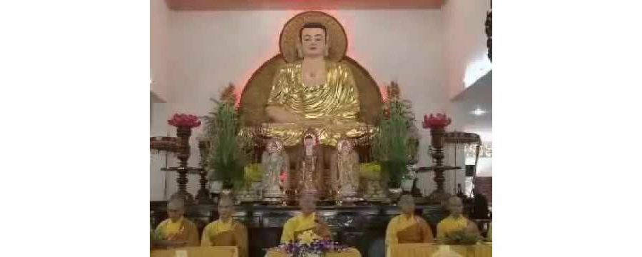 Ai Cũng Là Phật – Thích Chân Tính