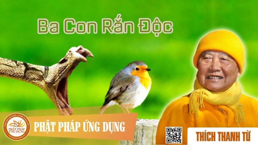 Ba Con Rắn Độc – Thích Thanh Từ