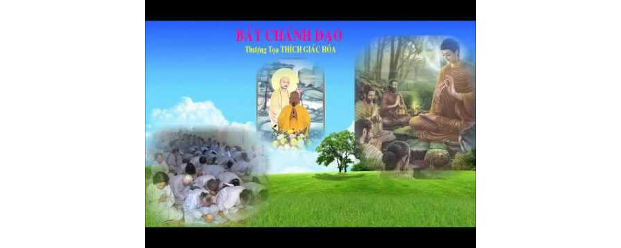 Bát Chánh Đạo Phần 2 – Thích Giác Hóa