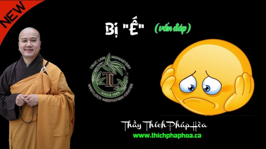 Bị "Ế" Có Phải Là Nghiệp không? - ĐĐ. Thích Pháp Hòa