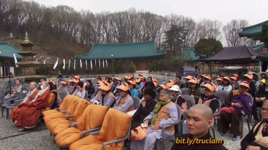 Biểu Tướng Râu Bát Tự Trên Tượng Phật – Đại Đức Thích Pháp Hòa