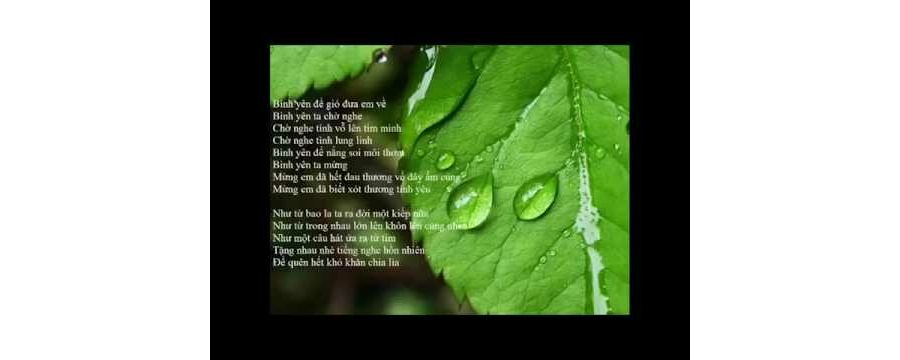 Bình Yên – Thích Minh Niệm