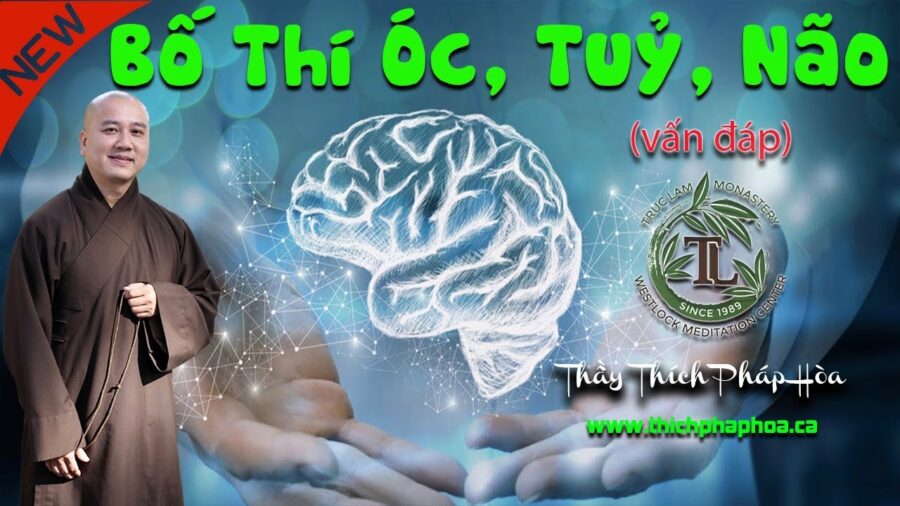 Bố Thí Óc, Tuỷ, Não - ĐĐ. Thích Pháp Hòa