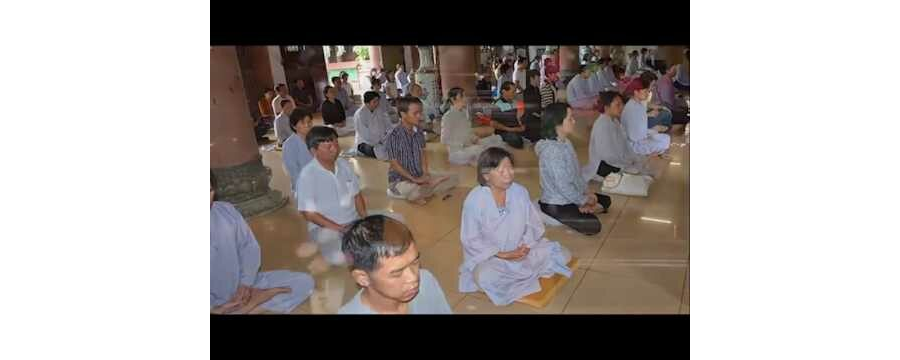 Bốn Đoàn Nai – Thích Tâm Đức
