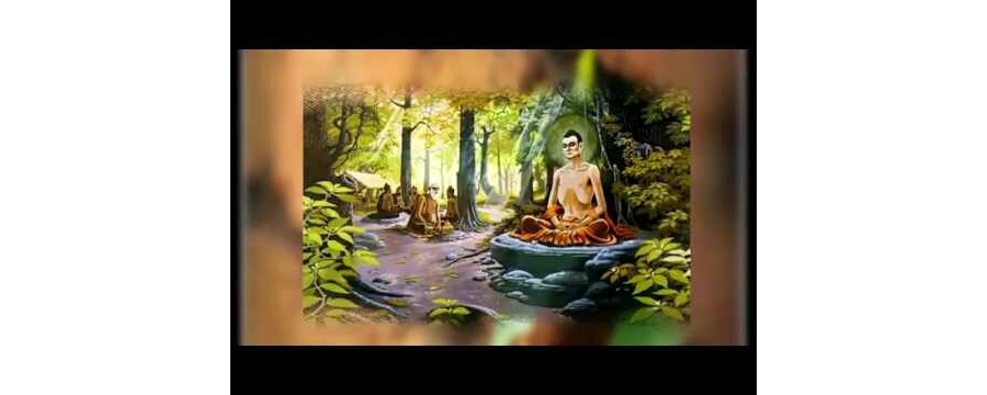 Bước Chân Tỉnh Thức – Thích Chân Tính