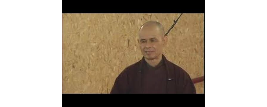 Biểu và vô biểu - Định đề 28; 29 - HT. Thích Nhất Hạnh