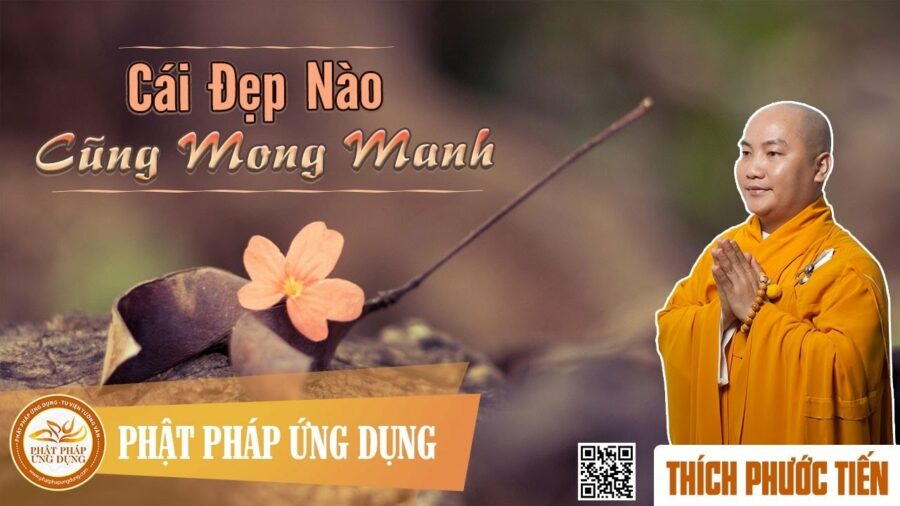 Cái Đẹp Nào Cũng Mong Manh – Thích Phước Tiến