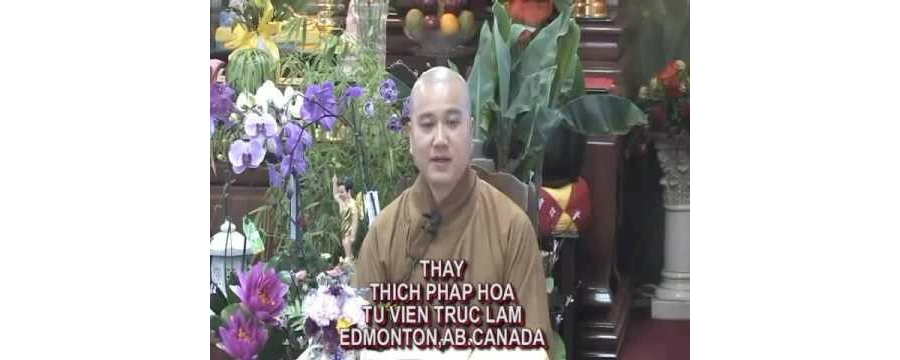 Cảm Ứng Đạo Giao – Đại Đức Thích Pháp Hòa