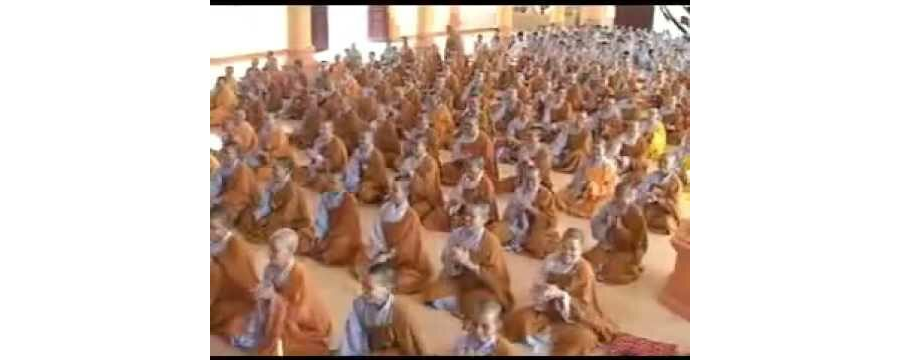 Cây Gai Nhọn – Thầy Thích Bửu Chánh