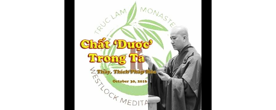 Chất Dược Trong Ta - ĐĐ. Thích Pháp Hòa