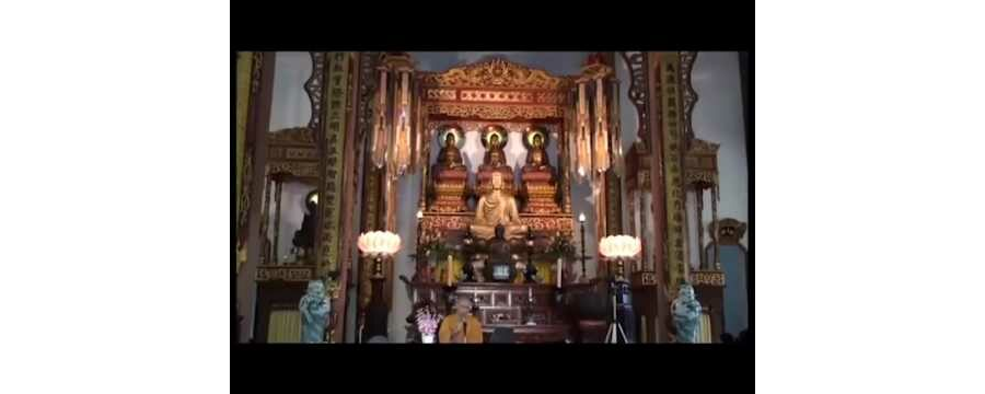 Chớ Bảo Xuân Tàn Hoa Rụng Hết – Thích Tâm Đức