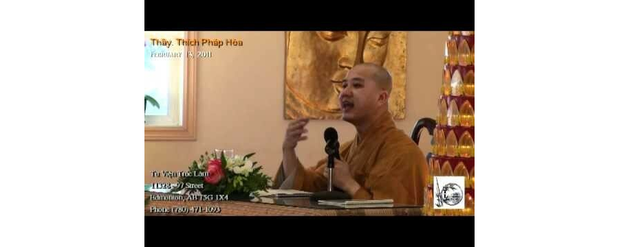 Chú Mèo Nhà Phật – Đại Đức Thích Pháp Hòa
