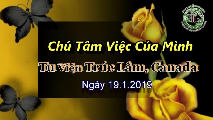 Chú Tâm Việc Của Mình - Thầy Thích Pháp Hòa