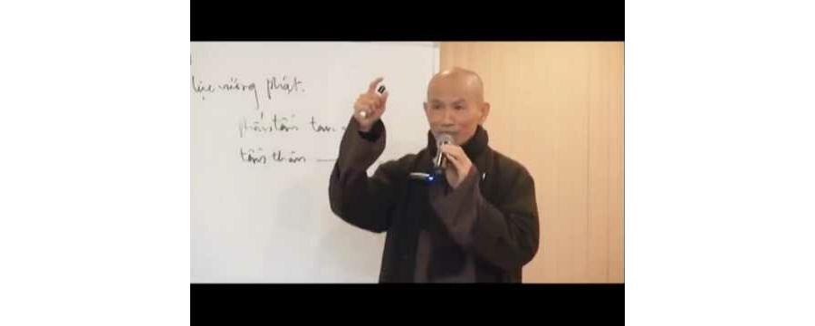 Chứng Đạo Ca 19 Sư Tử Hống – Thích Phước Tịnh