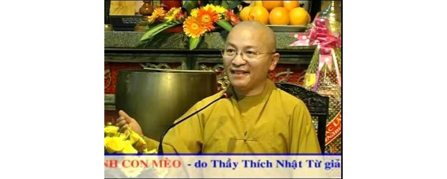 Chuyển nghiệp qua hình ảnh con mèo – Thích Nhật Từ