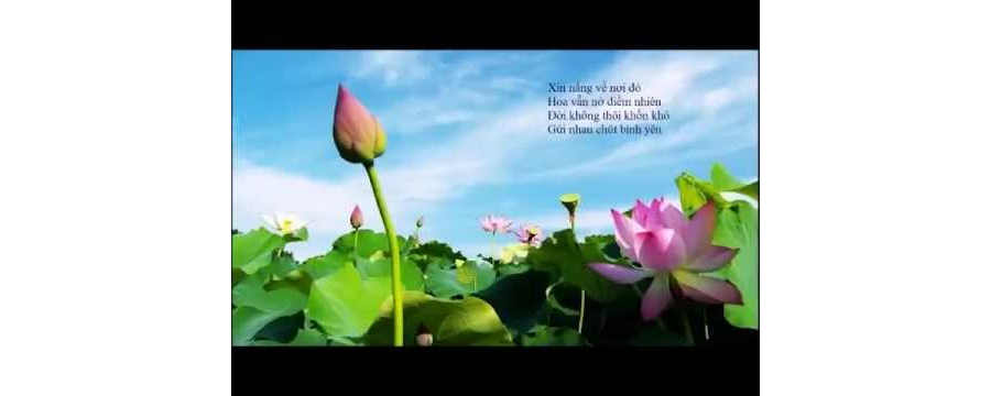 Có Lắng Lòng Nghe Mới Thấu Hiểu – Thích Minh Niệm