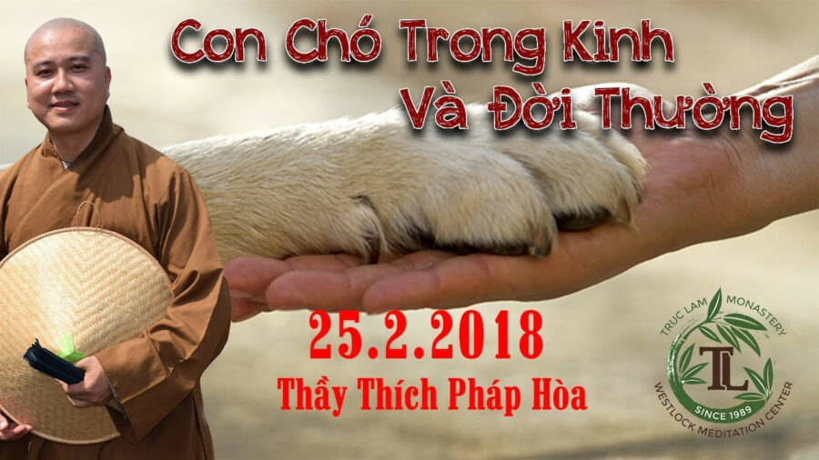 Con Chó Trong Kinh Và Đời Thường – Đại Đức Thích Pháp Hòa