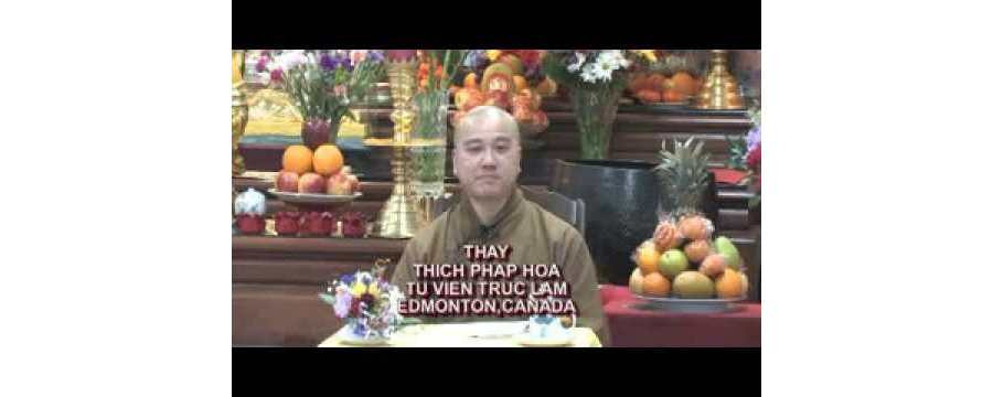 Con Ngựa Trong Thiền Tông – Đại Đức Thích Pháp Hòa