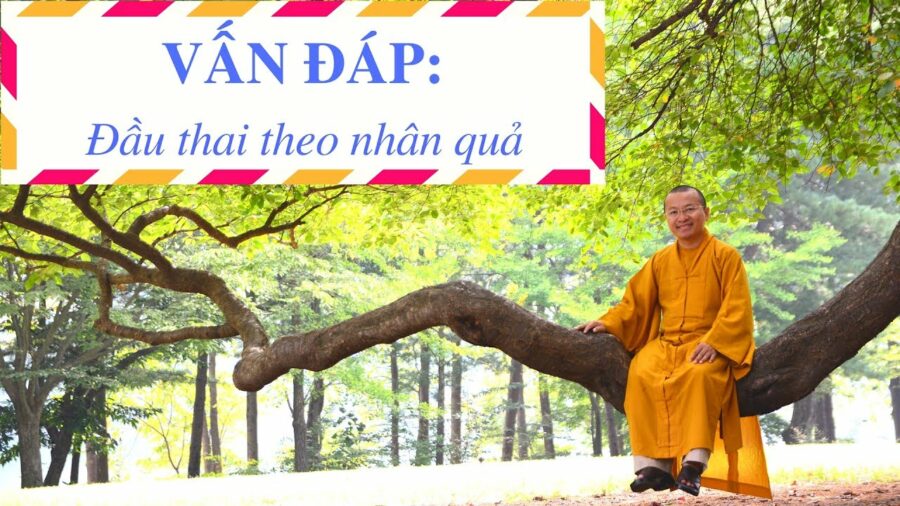 Đầu thai theo nhân quả – Thích Nhật Từ