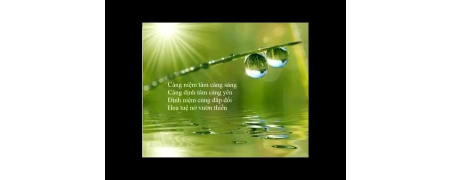 Định Niệm Trong Đời Sống – Thích Minh Niệm