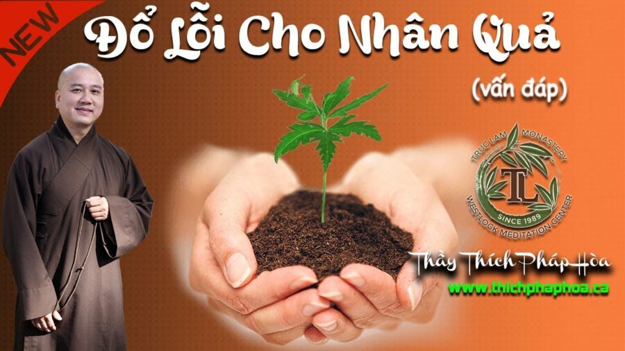 Đổ Lỗi Cho Nhân Quả - ĐĐ. Thích Pháp Hòa