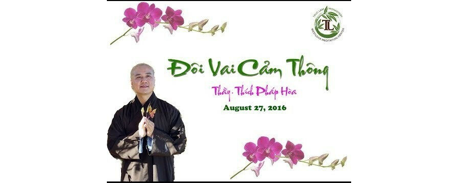 Đôi Vai Cảm Thông – Đại Đức Thích Pháp Hòa