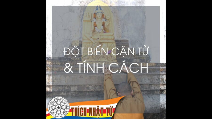 Đột biến cận tử và tính cách – Thích Nhật Từ