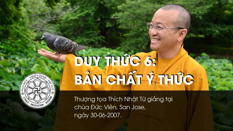 Duy thức 6: Bản chất ý thức – Thích Nhật Từ