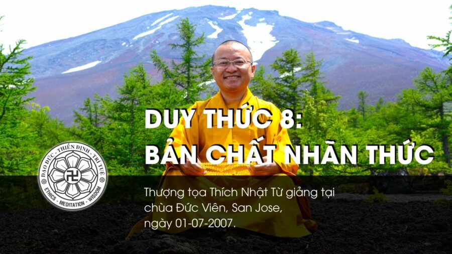 Duy thức 8: Bản chất nhãn thức – Thích Nhật Từ