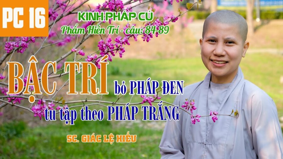Bậc trí bỏ pháp đen, tu tập theo pháp trắng - Kinh Pháp Cú 16 - SC. Giác Lệ Hiếu