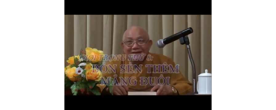 Giới Bồ Tát – Giới Trọng Thứ 8 – Giới Bỏn Sẻn Thêm Mắng Đuổi Phần 1 – thầy Thích Minh Thông