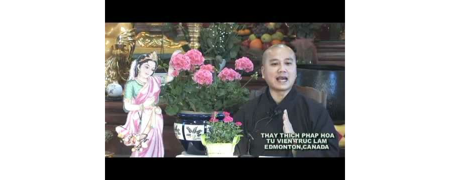 Hải Đảo Tự Thân - phần 2 - thầy Thích Pháp Hòa