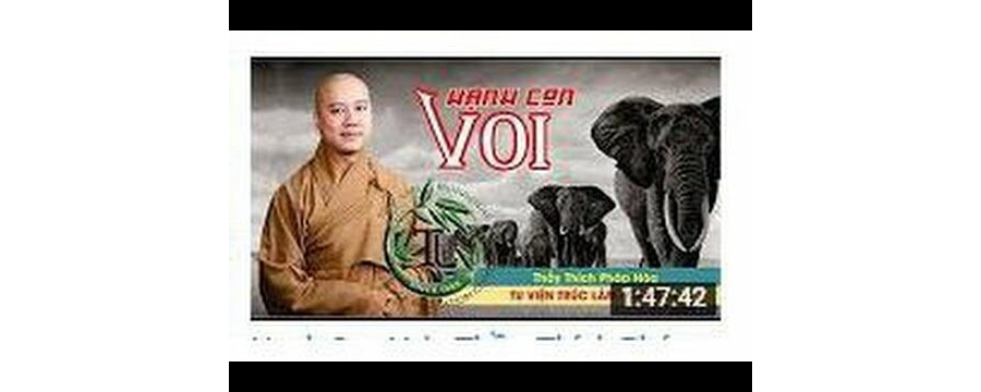 Hạnh Con Voi – Đại Đức Thích Pháp Hòa