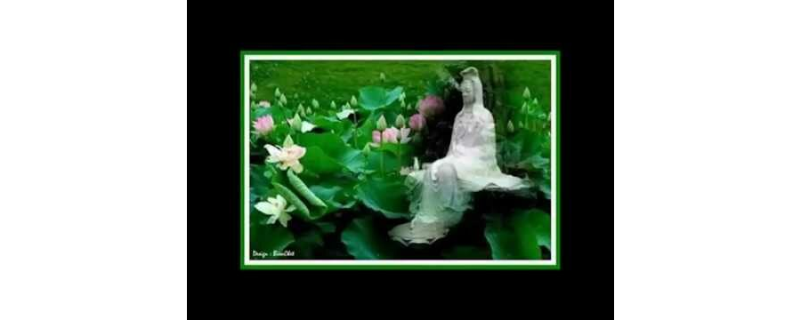 Hạnh Phúc Bên Trong Phần 1 – Thích Phước Tịnh