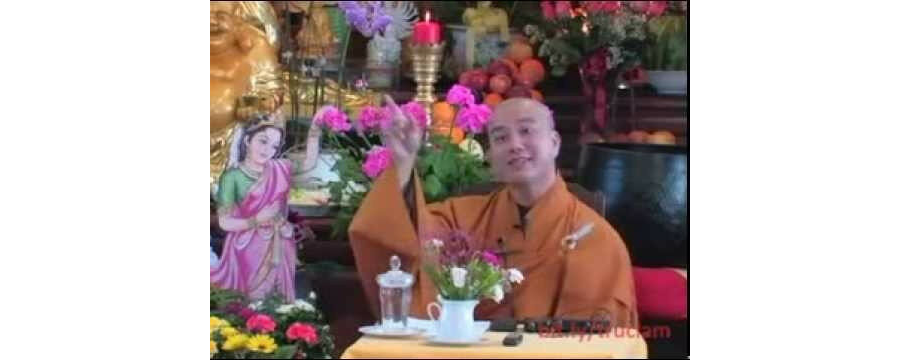 Hạnh Trẻ Thơ – Đại Đức Thích Pháp Hòa