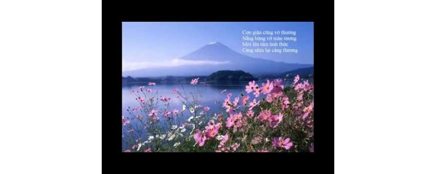 Hãy Để Chánh Niệm Dẫn Đường – Thích Minh Niệm