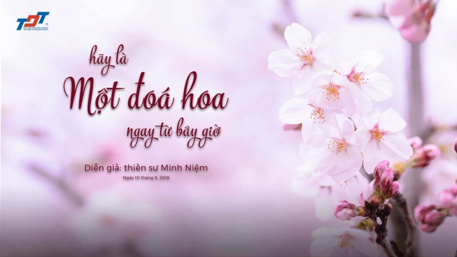 Hãy là một đóa hoa ngay từ bây giờ - Đại Đức Thích Minh Niệm