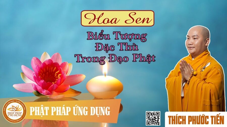Hoa Sen – Biểu Tượng Đặc Thù Trong Đạo Phật – Thích Phước Tiến