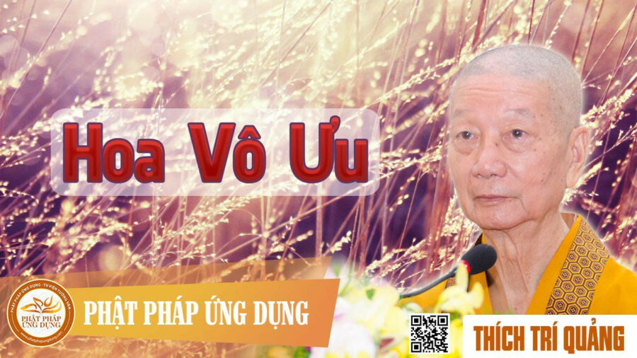 Hoa Vô Ưu – Thích Trí Quảng